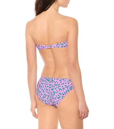 Shop Diane Von Furstenberg Leopard-print Bikini Bottoms In Purple