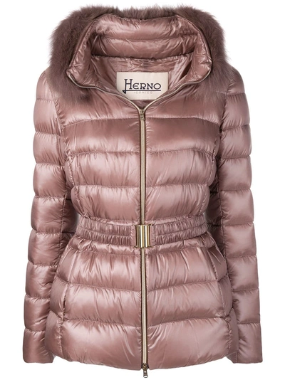 Shop Herno Fur Trimmed Puffer Jacket - Pink
