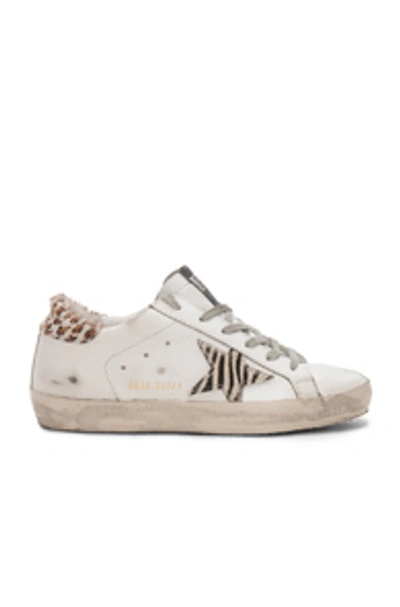 Shop Golden Goose Superstar Sneakers In White,animal Print In White Leather Wild
