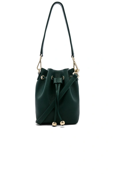 Shop The Daily Edited Mini Bucket Bag In Forest Green