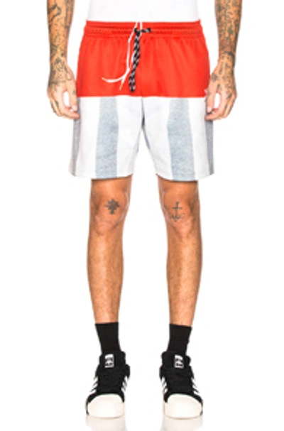 Shop Adidas Originals By Alexander Wang Photocopy Shorts In Red & Grey