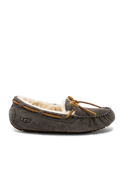 Shop Ugg Dakota Slipper In Pewter