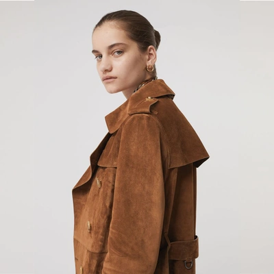 Shop Burberry Suede Trench Coat In Sepia Brown