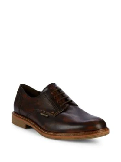 Shop Mephisto Waino Leather Derby Shoes In Dark Brown