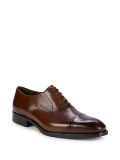 Shop To Boot New York Men's Men's Bergamo Cap-toe Leather Oxfords In Brown
