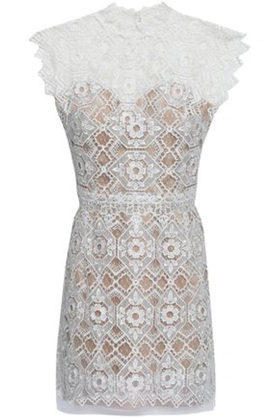 Shop Catherine Deane Kate Metallic Lace And Point D'esprit Mini Dress In White
