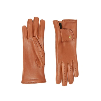 Shop Burberry Cashmere-lined Lambskin Gloves In Tan