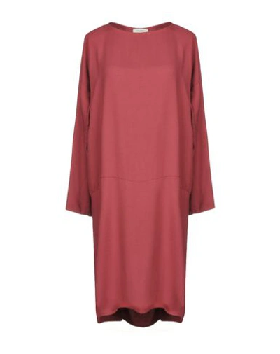 Crossley Knee-length Dress In Garnet