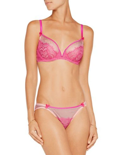 Shop Mimi Holliday By Damaris Bra In Fuchsia