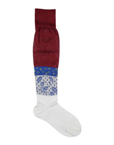 Shop Maison Margiela Socks & Tights In Maroon