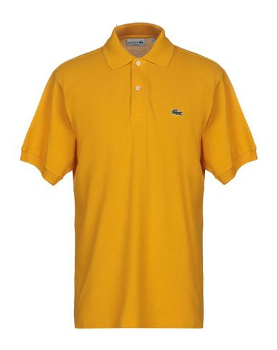Shop Lacoste Polo Shirt In Ocher