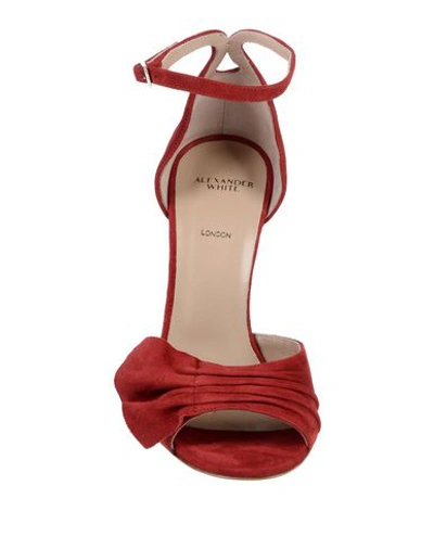 Shop Alexander White Sandals In Red