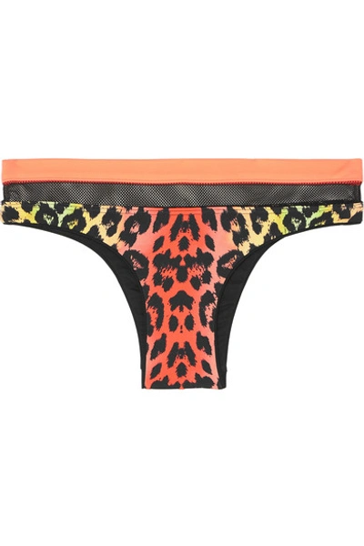 Shop Agent Provocateur Zenaya Leopard-print Bikini Briefs In Pink
