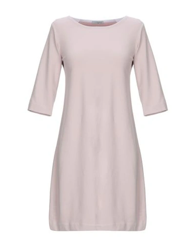 Shop Circolo 1901 Woman Mini Dress Light Pink Size 8 Cotton, Elastane