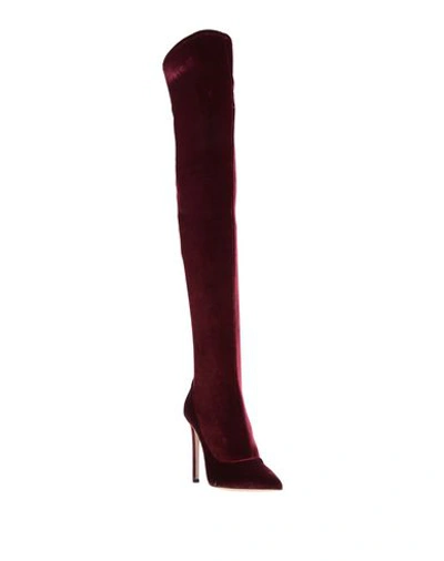 Shop Lerre Boots In Maroon