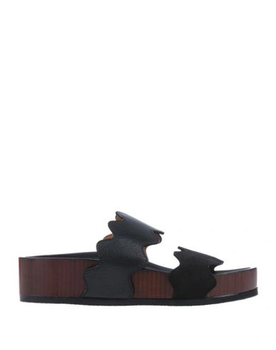 Shop Chloé Sandals In Black