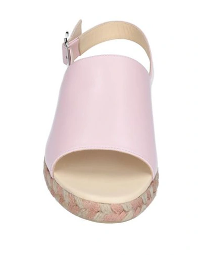 Shop Dondup Sandals In Pink