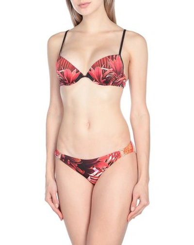 Shop Roberto Cavalli Beachwear Bikini In Brick Red
