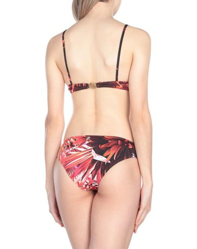 Shop Roberto Cavalli Beachwear Bikini In Brick Red