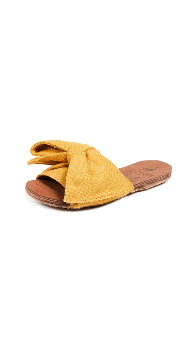 Shop Brother Vellies Burkina Slides In Natural