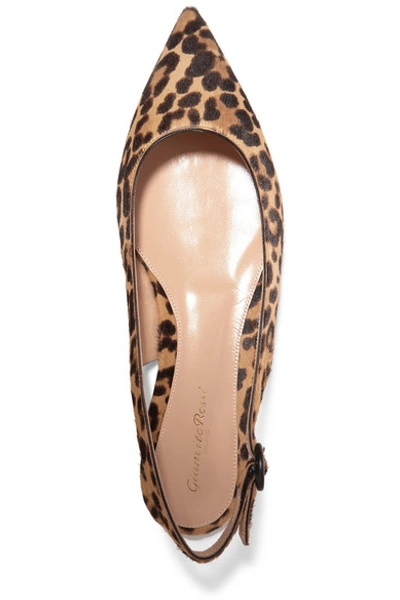 Shop Gianvito Rossi Leopard-print Calf Hair Slingback Point-toe Flats