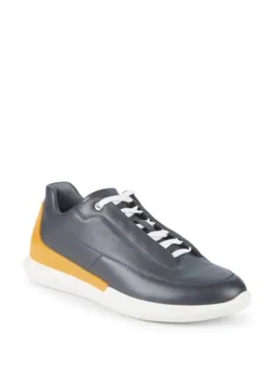 Shop Bally Avier Leather Sneakers In Dark Grey