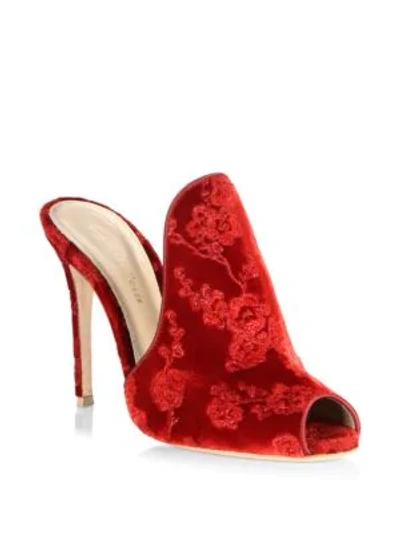 Shop Gianvito Rossi Embroidered Velvet Peep Toe Mules In Tabasco Red