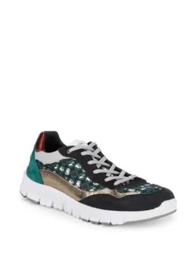 Shop Dolce & Gabbana Lace-up Low-top Sneakers In Multi