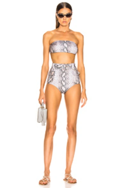 Shop Zimmermann Corsage Safari Bikini Set In Python