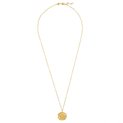 Shop Missoma Large Desert Rose 18kt Gold Vermeil Necklace