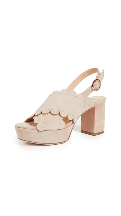 Shop Isa Tapia Perry Platform Sandals In Summer Sand