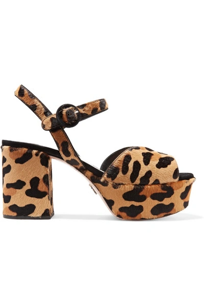 Shop Prada 85 Leopard-print Calf Hair Platform Sandals In Leopard Print