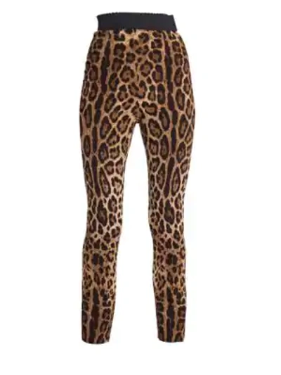 Shop Dolce & Gabbana Leopard Stretch Cady Leggings