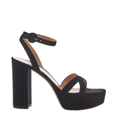 Shop Gianvito Rossi Black 105 Platform Sandals