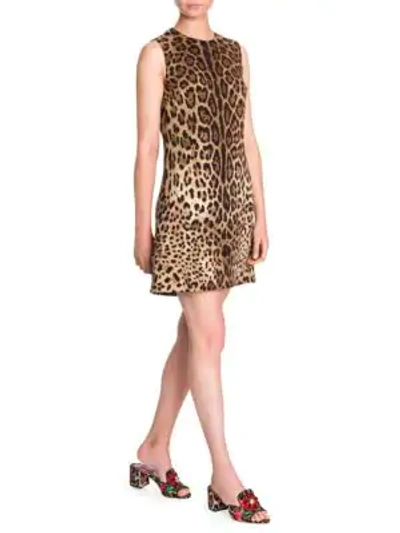 Shop Dolce & Gabbana Women's Sleeveless Stretch Cady A-line Dress In Leopard