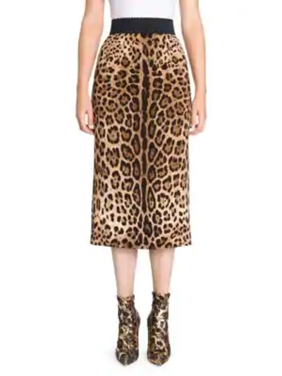 Shop Dolce & Gabbana Leopard Midi Pencil Skirt In Roses On Leo
