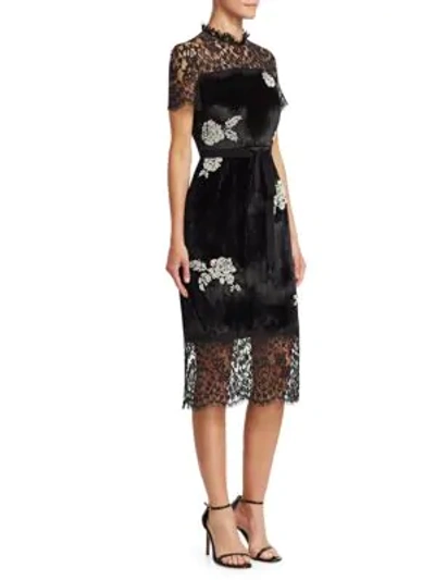 Shop Erdem Keni Embellished Lace & Velvet Midi Dress In Black