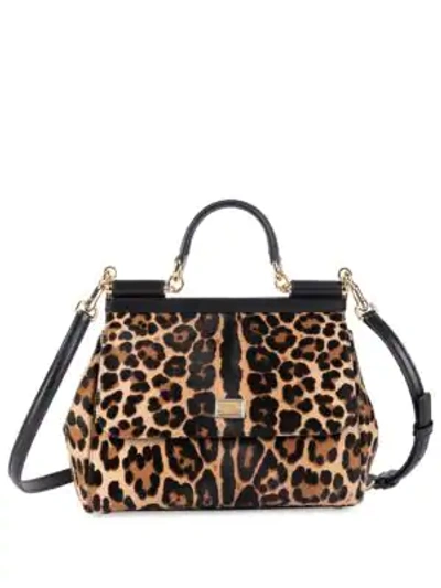 Shop Dolce & Gabbana Medium Sicily Leopard-print Calf Hair Leather Top Handle Bag