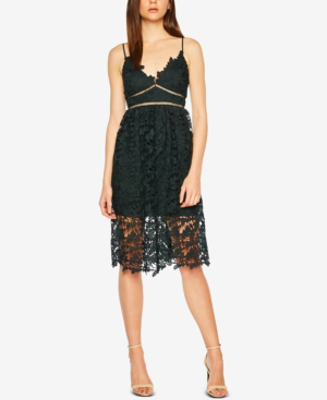 bardot sonya lace fit & flare dress