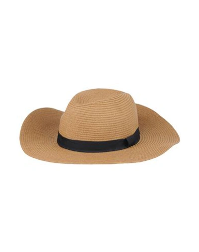 Shop Amuse Society Hat In Sand