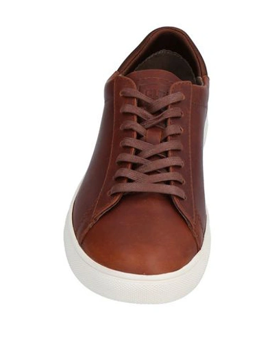 Shop Clae Sneakers In Brown