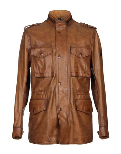 Shop Matchless Leather Jacket In Brown