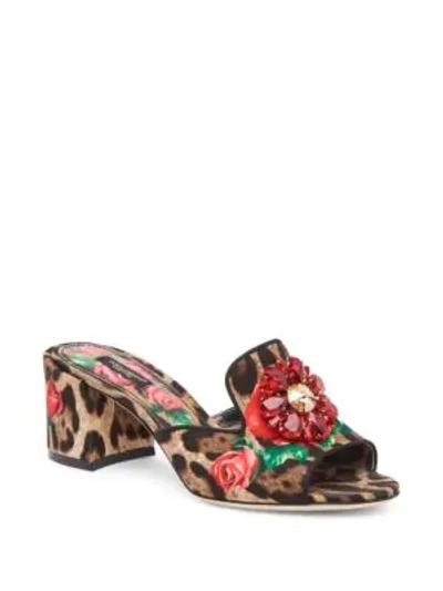 Shop Dolce & Gabbana Crystal Buckle Leopard Block Heel Mules In Multi