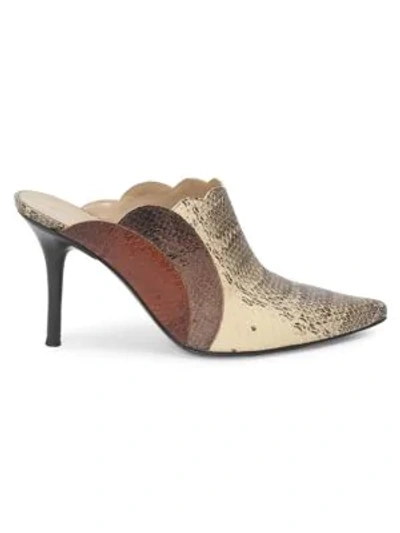 Shop Chloé Pointy Lauren Snake-print Leather Mules In Multi