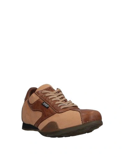 Shop Walsh Sneakers In Tan