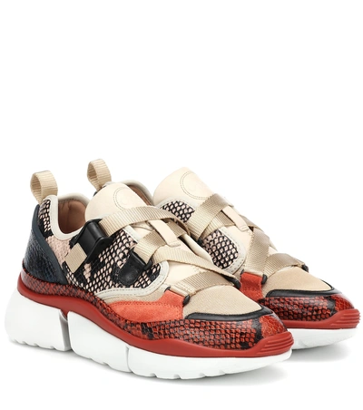 Shop Chloé Sonnie Leather Sneakers In Multicoloured