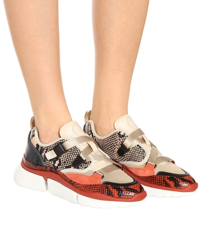 Shop Chloé Sonnie Leather Sneakers In Multicoloured