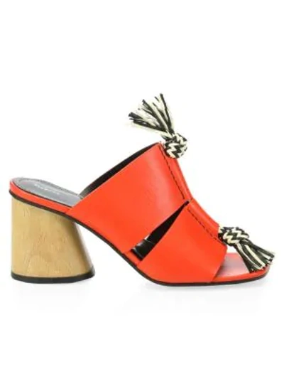 Shop Proenza Schouler Rope-detail Block Heel Mule Sandals In Red