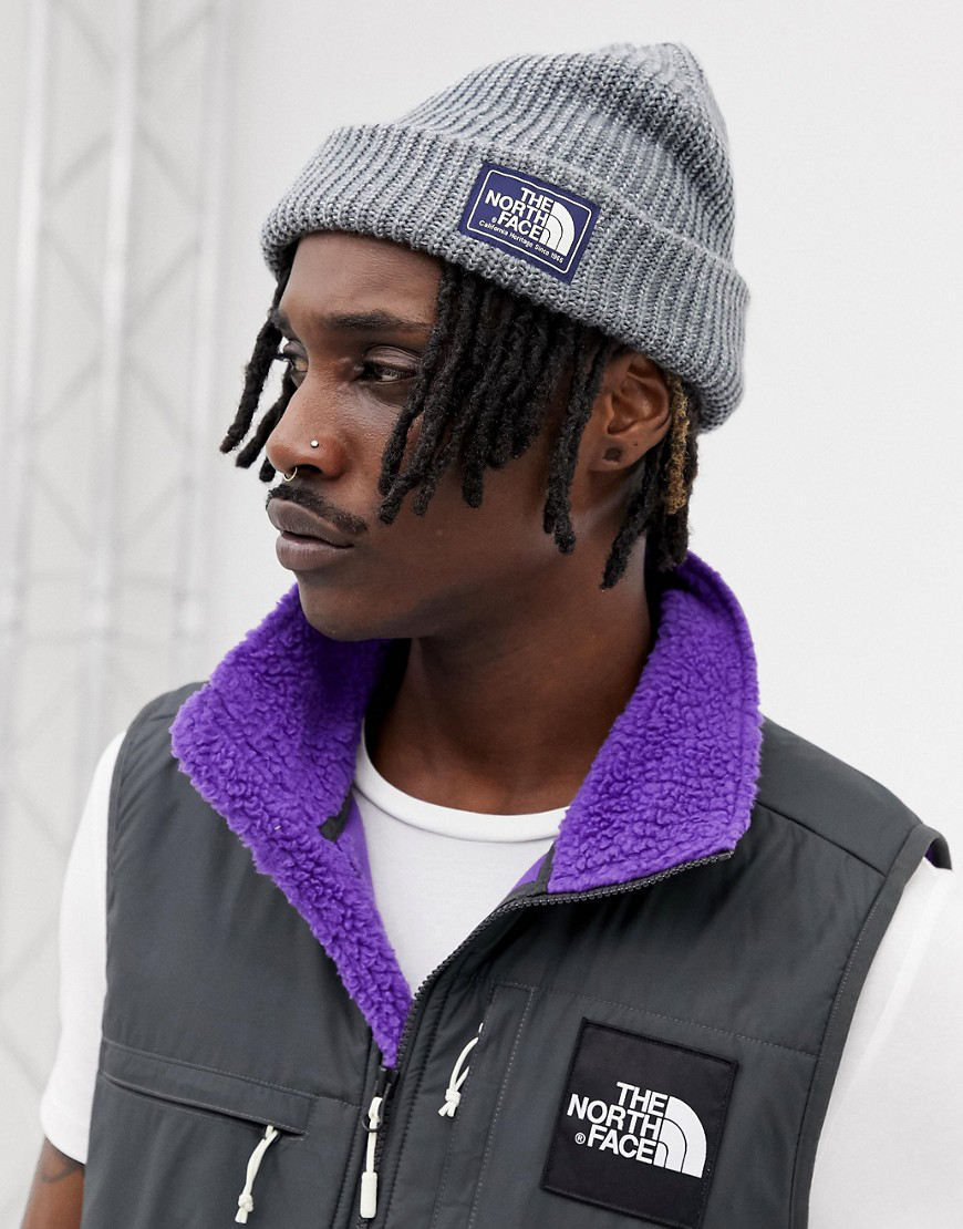 the north face beanie salty dog