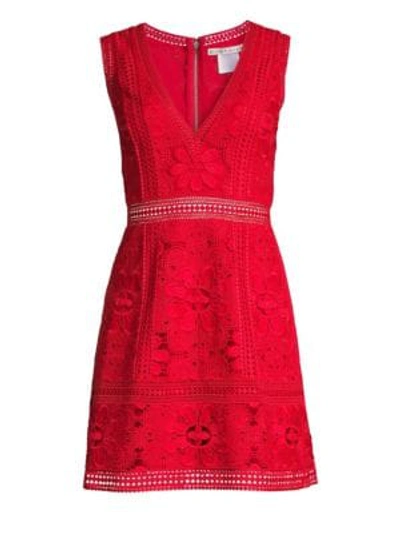 Shop Alice And Olivia Zula Floral Eyelet Lace A-line Dress In Ruby